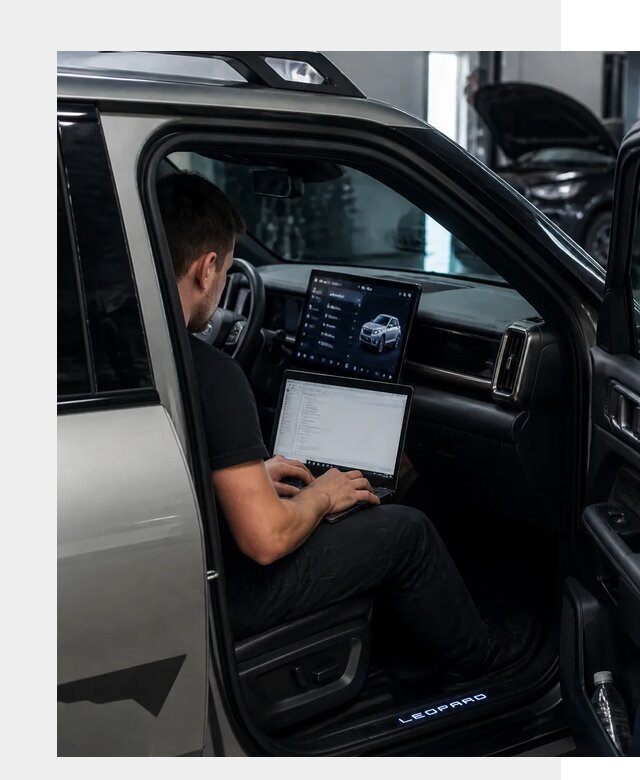 Русификация BYD Leopard 3 в Новокузнецке по цене от 20445 р. | ФастМобиль-Нвк
